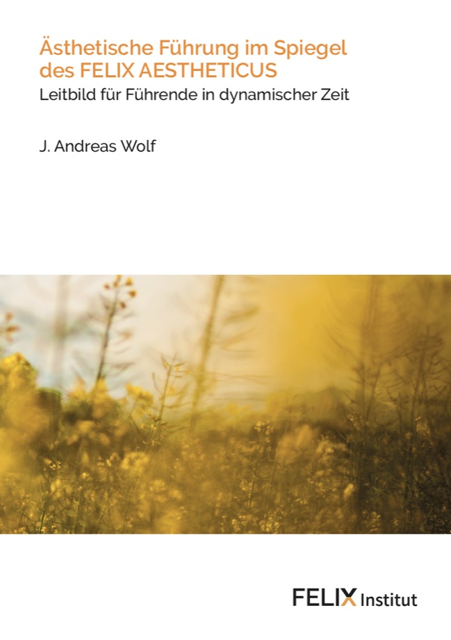 Buchcover Ästhetische Führung im Spiegel des FELIX AESTHETICUS