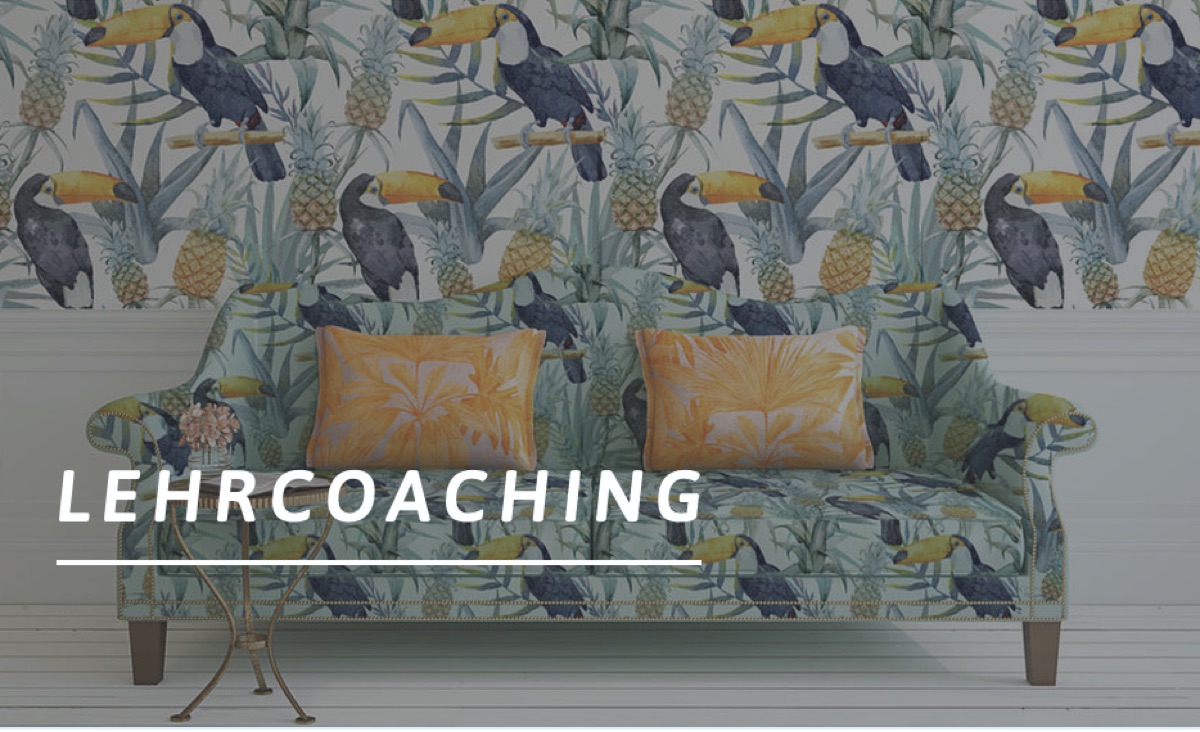 Lehrcoaching-Raum am Felix-Institut — Sofa mit Tukan-Tapete