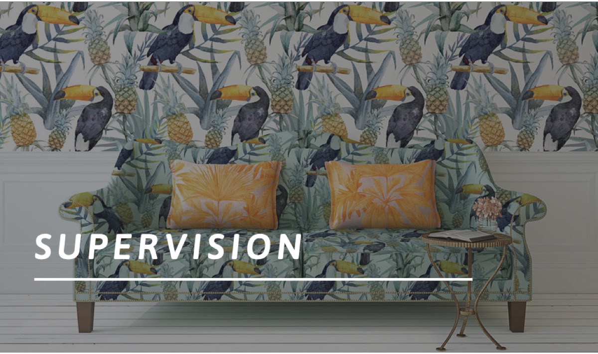 Supervisions-Raum am Felix-Institut — Sofa mit Tukan-Tapete